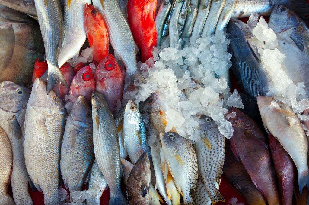 Raw-fish-market